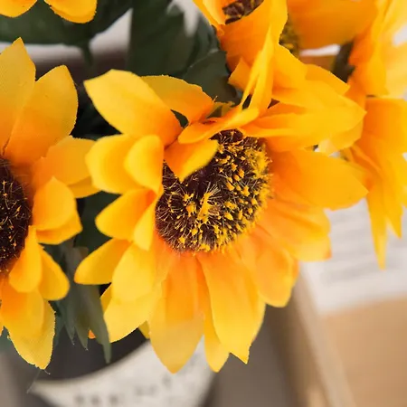 Tre Sestieri Terrace - Canal View 2024 Guest house Venice